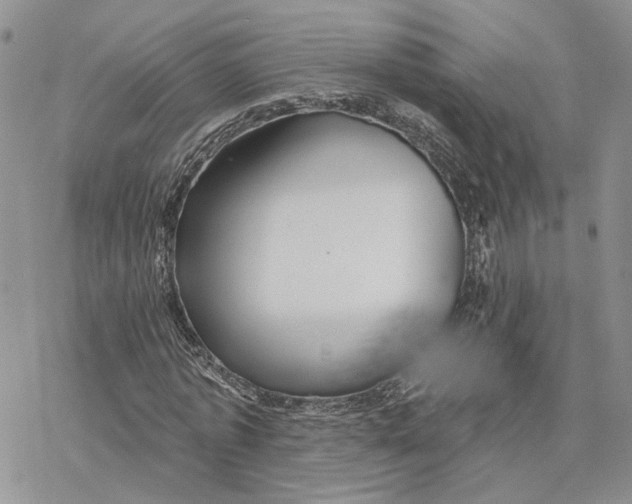 X0000078270773200611251352