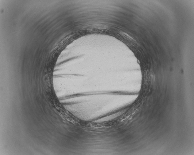 X0000078270774200611251352