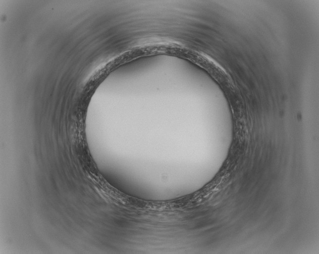 X0000078270775200611251352