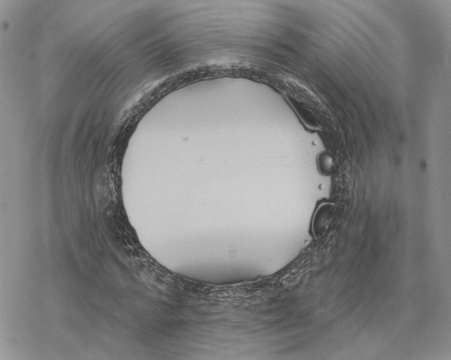 X0000078270776200611251352