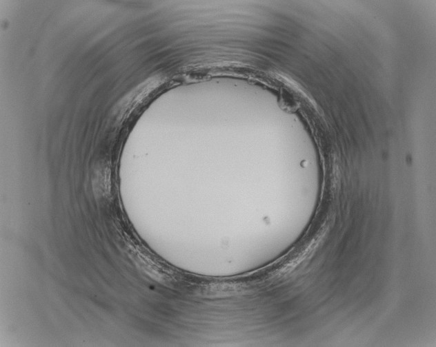 X0000078270777200611251352