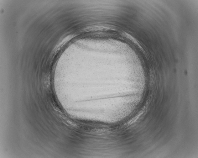 X0000078270778200611251352