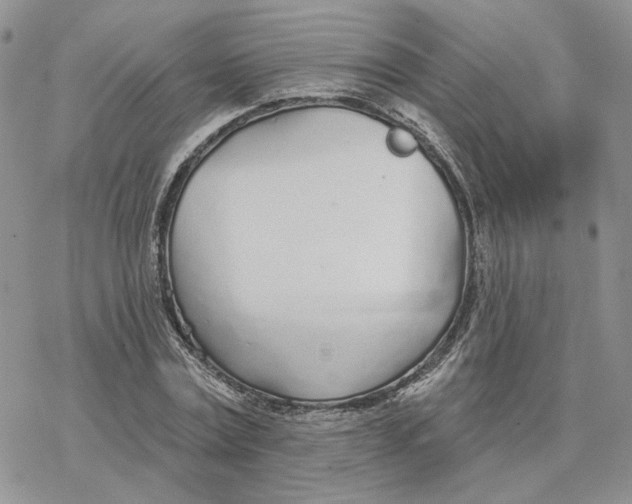 X0000078270779200611251352