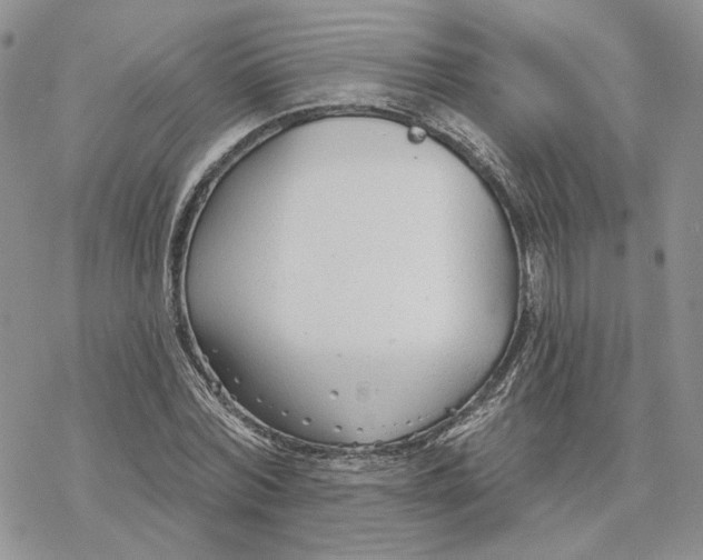 X0000078270780200611251352