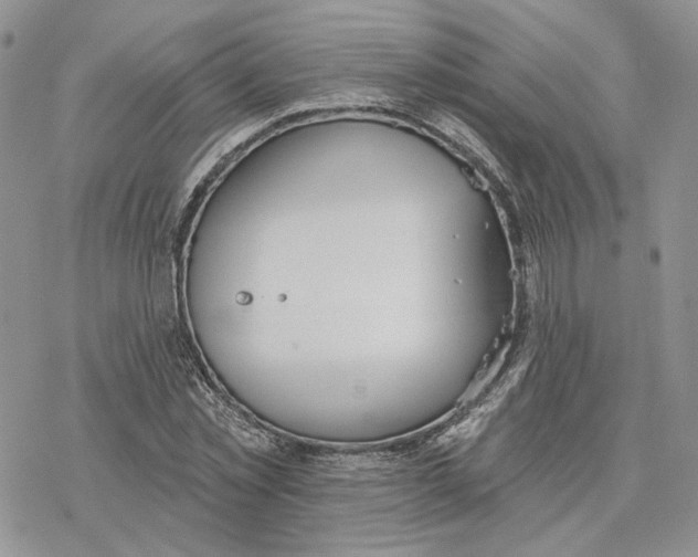 X0000078270781200611251352