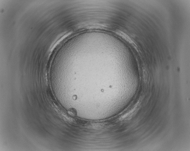 X0000078270782200611251352