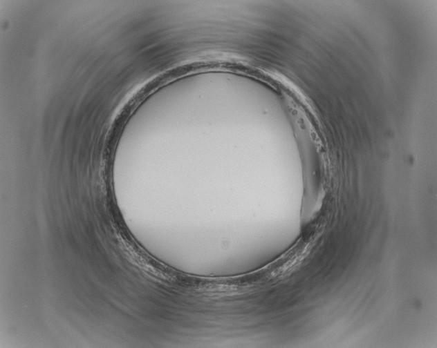 X0000078270783200611251352