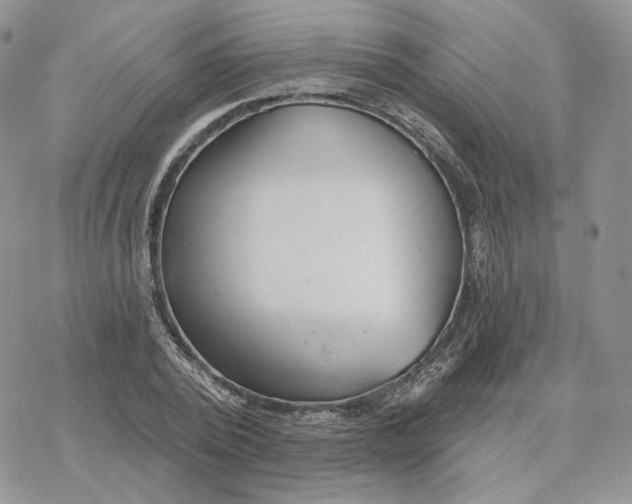 X0000078270784200611251352