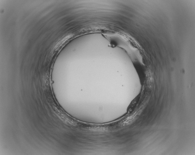 X0000078270785200611251352