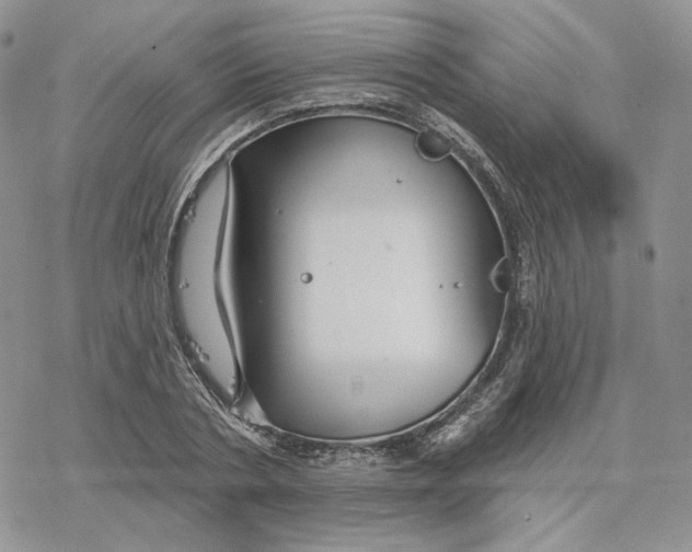 X0000078270786200611251352