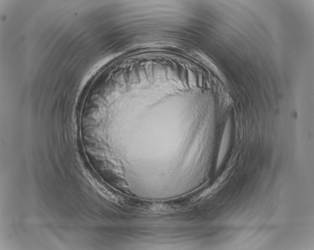 X0000078270787200611251352