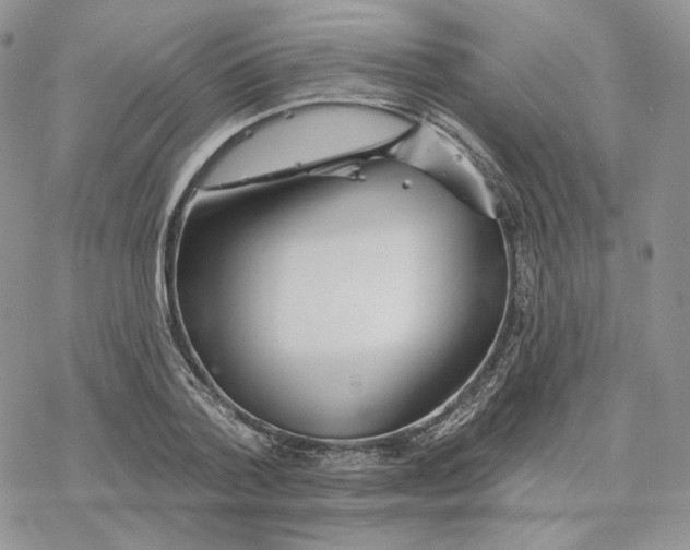 X0000078270788200611251352