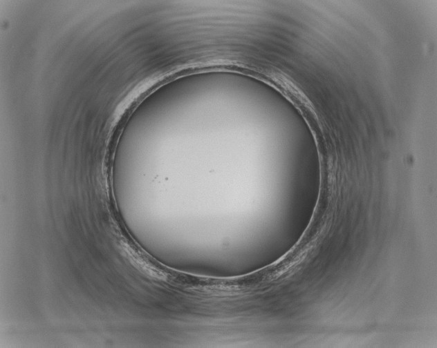 X0000078270789200611251352