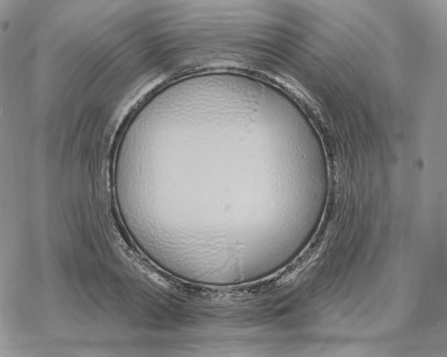 X0000078270790200611251352