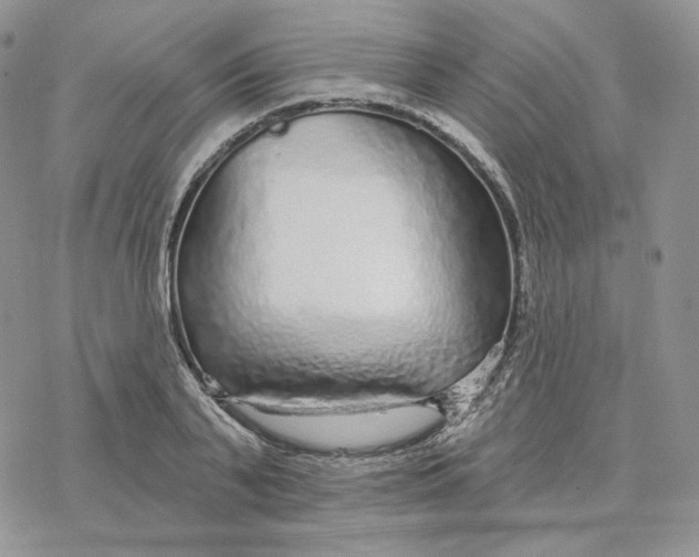 X0000078270791200611251352