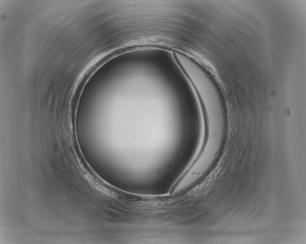 X0000078270792200611251352