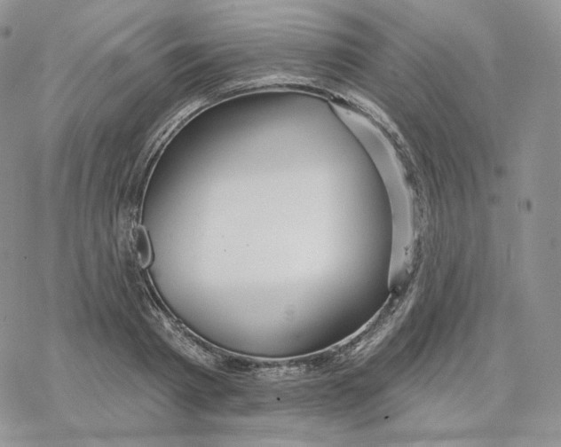 X0000078270793200611251352