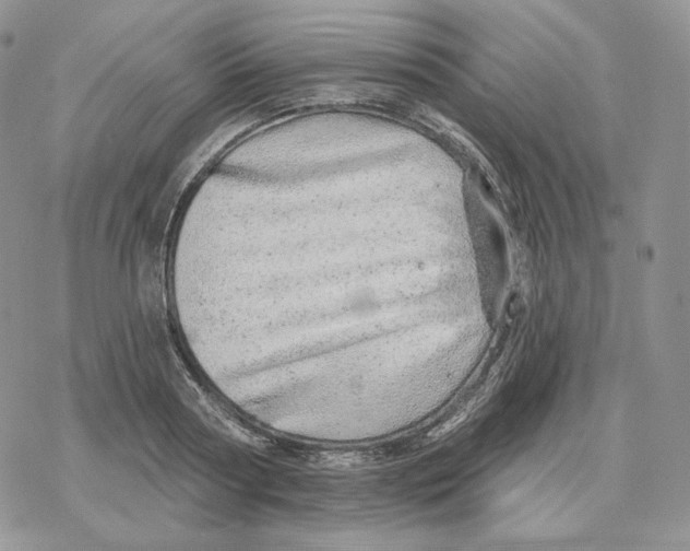 X0000078270794200611251352