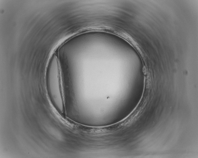 X0000078270795200611251352