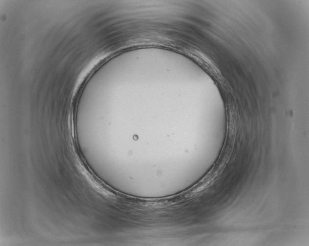 X0000078270796200611251352