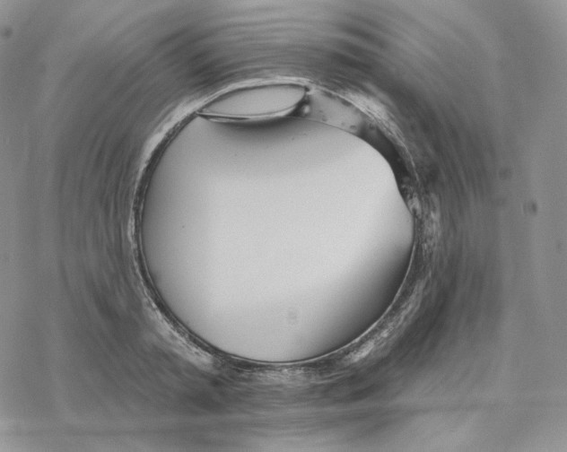 X0000078270797200611251352