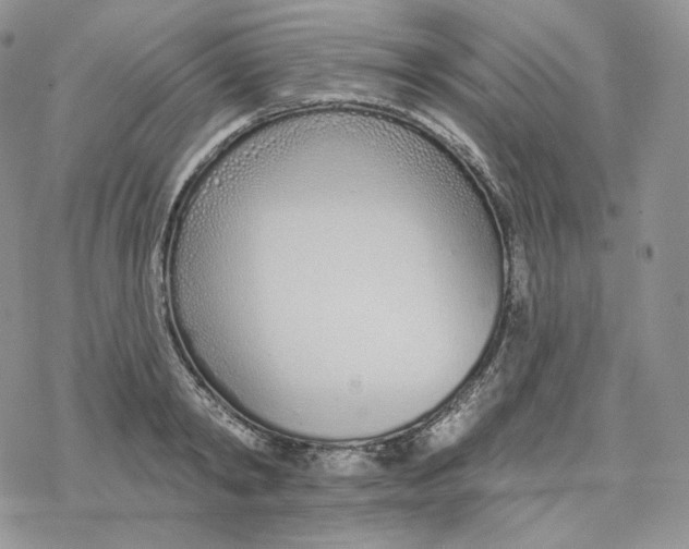 X0000078270798200611251352