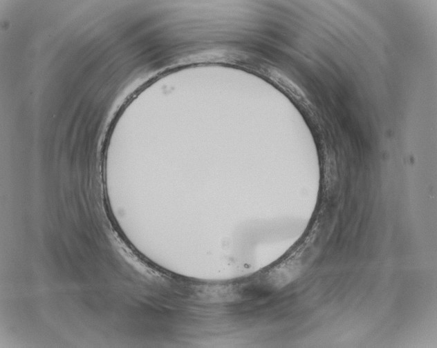 X0000078270800200611251352