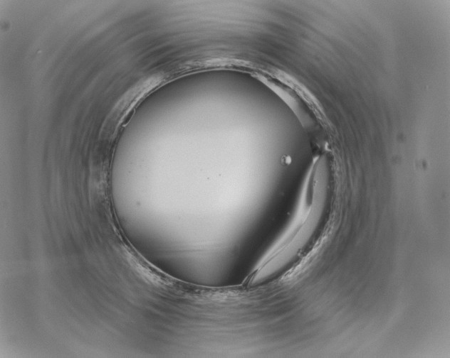 X0000078270801200611251352