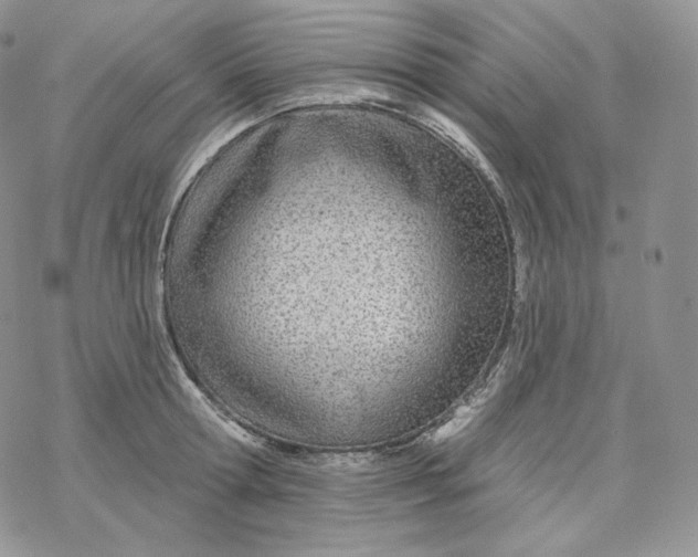 X0000078270802200611251352