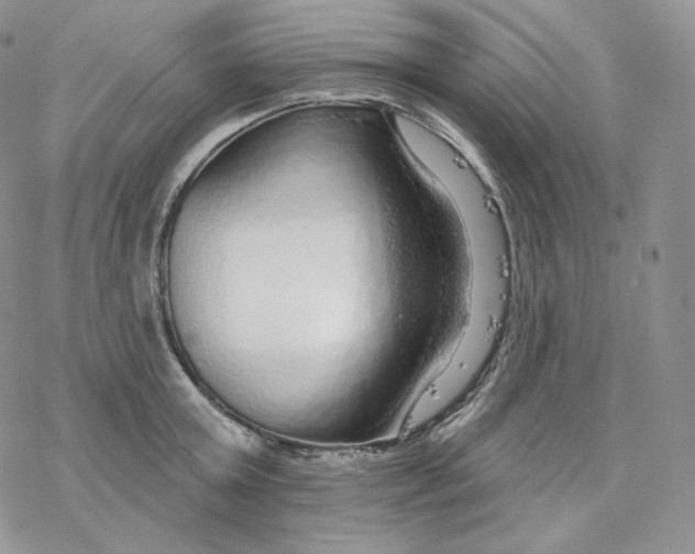 X0000078270803200611251352