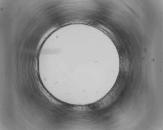 X0000078270804200611251352