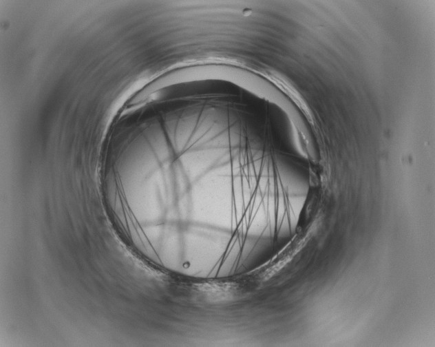 X0000078270805200611251352