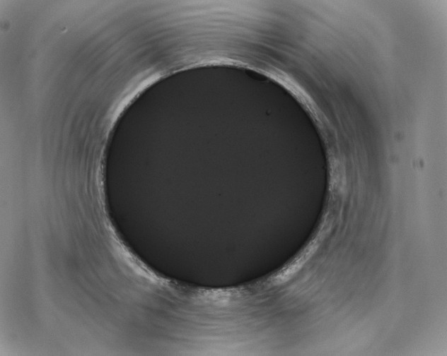 X0000078270806200611251352