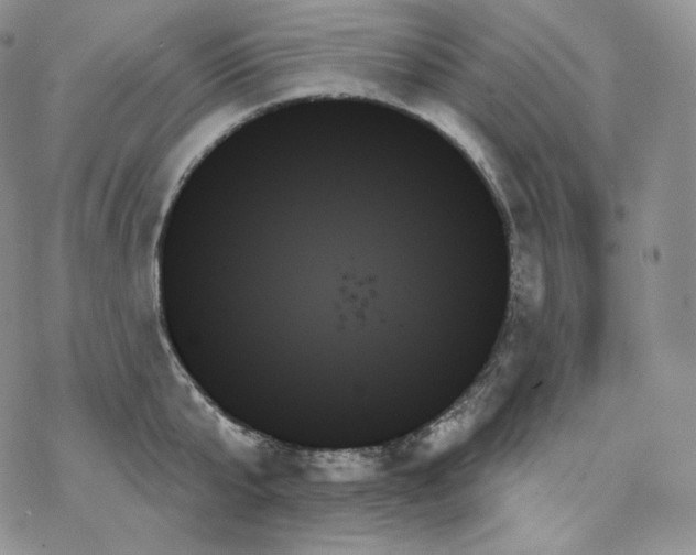 X0000078270807200611251352