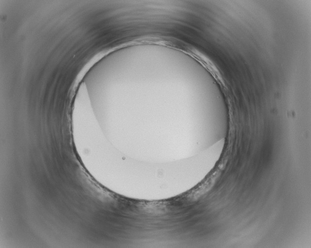 X0000078270808200611251352