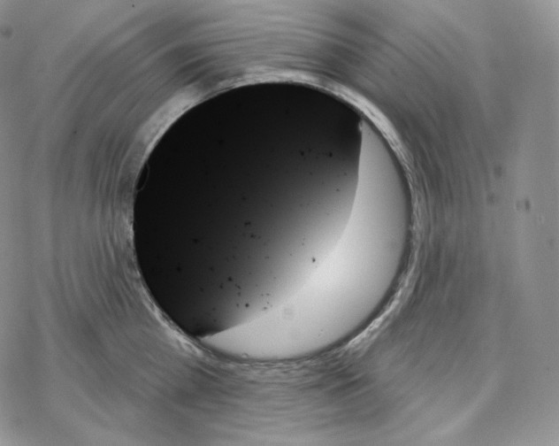 X0000078270809200611251352