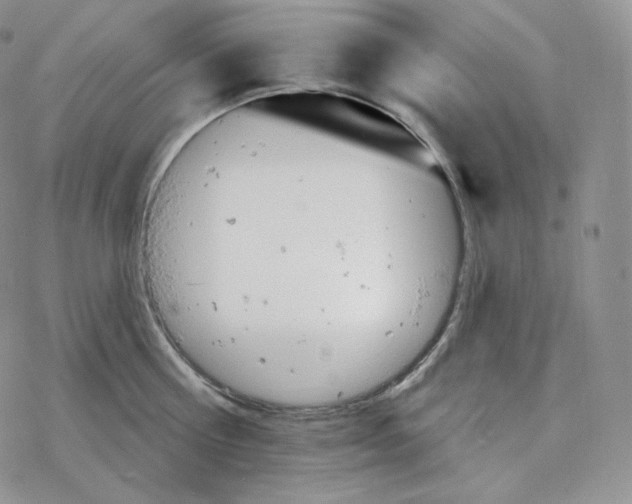 X0000078270810200611251352