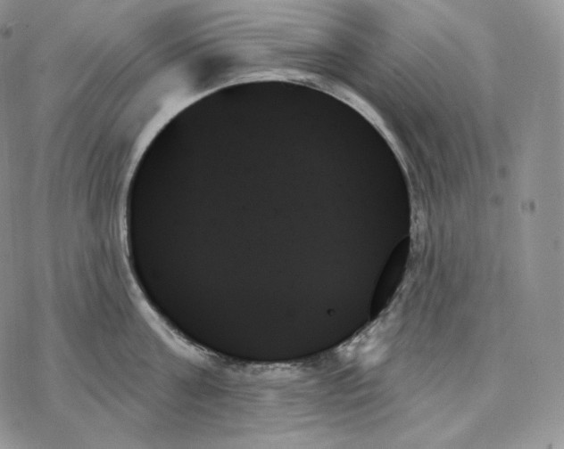 X0000078270811200611251352