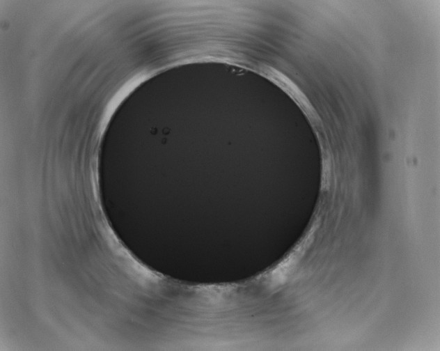 X0000078270812200611251352