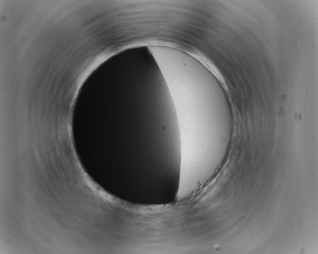 X0000078270813200611251352