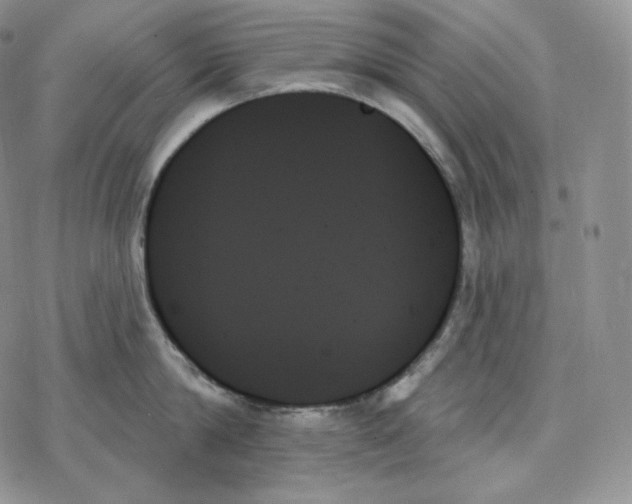 X0000078270814200611251352