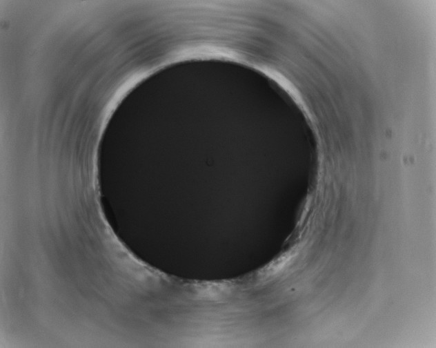 X0000078270815200611251352