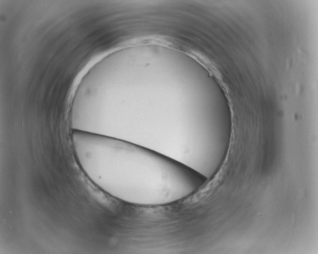 X0000078270816200611251352