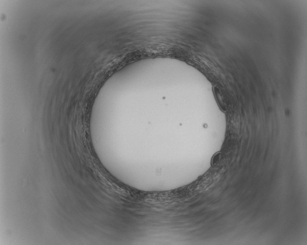 X0000078270817200611251351