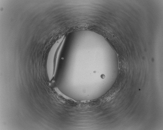 X0000078270818200611251351