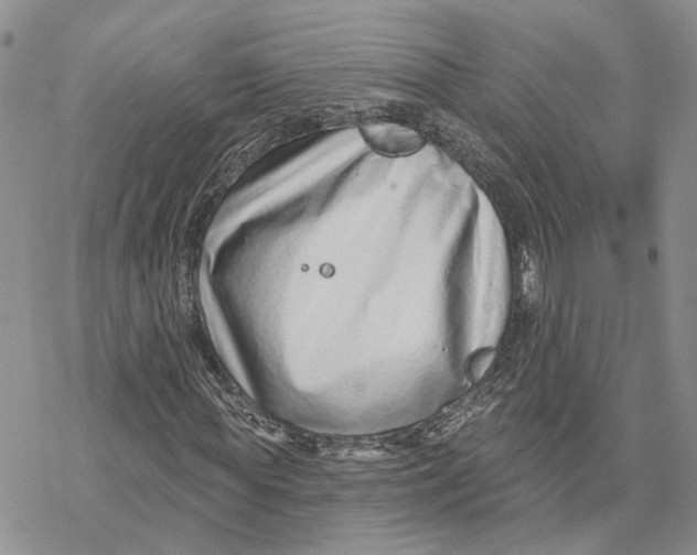 X0000078270819200611251351