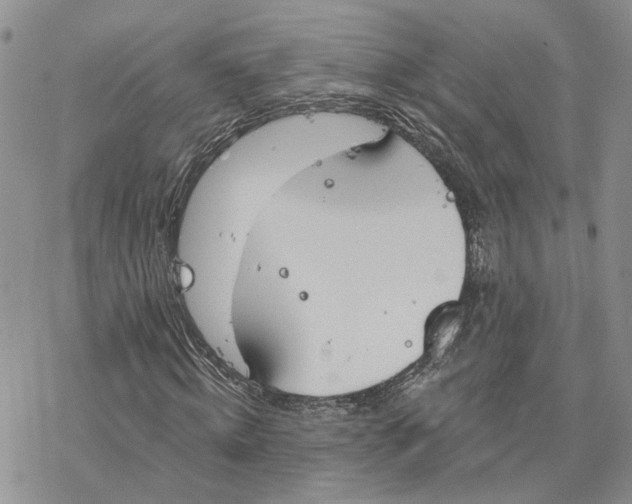 X0000078270820200611251351