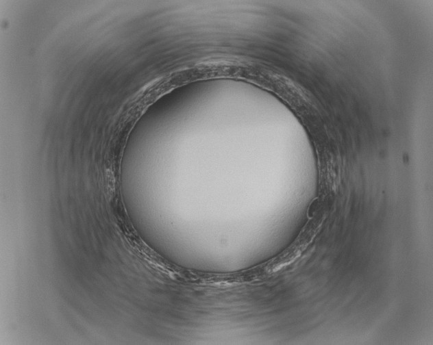 X0000078270821200611251351