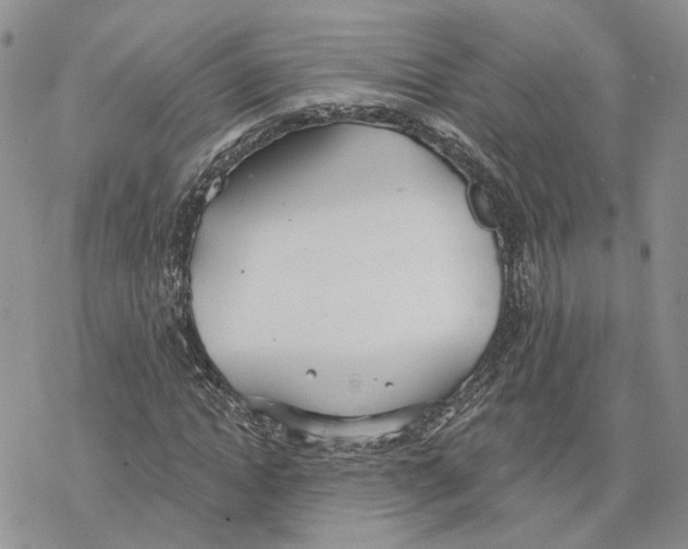 X0000078270822200611251351