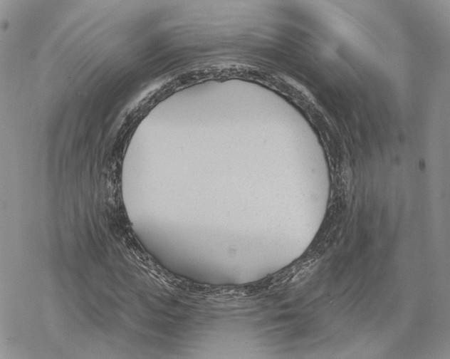 X0000078270823200611251351